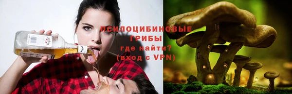 прущая мука Пролетарск
