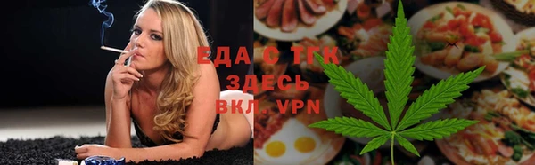 индика Абаза