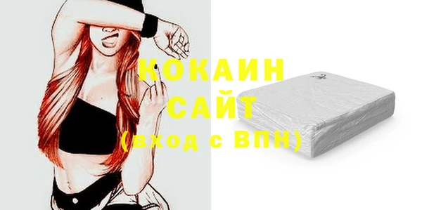 индика Абаза
