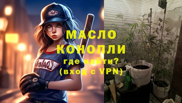 индика Абаза