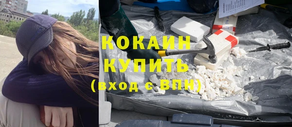 индика Абаза